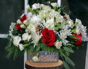 A Classic Christmas Arrangement in North Adams, MA | MOUNT WILLIAMS GREENHOUSES INC A Classic Christmas Arrangement in North Adams, MA | MOUNT WILLIAMS GREENHOUSES INC