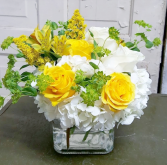 Sweet Sunrise Cube Arrangement
