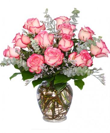 A DAZZLING DOZEN Bi-Colored Roses in Sunrise, FL | FLORIST24HRS.COM