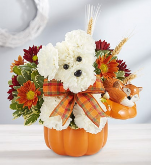 A DOG-ABLE FOR FALL Fall Arrangement
