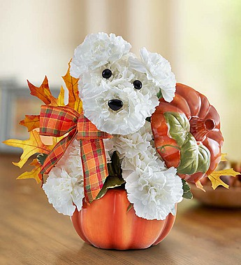 a-DOG-able® Fall Pumpkin Arrangement