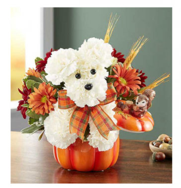 a-DOG-able® for Fall