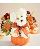 a-DOG-able for Fall 