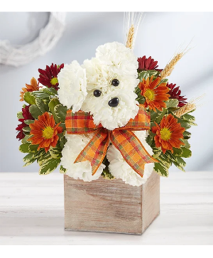 A DOG ABLE FOR FALL Fresh arrangement in keepsake container