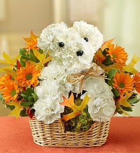 1800 flowers dog best sale