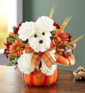 A-Dog-Able for Fall Keepsake container