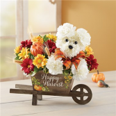 A-Dog-Able for Fall Wheelbarrow Fall Arrangement