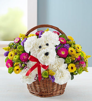 a-DOG-able® in a Basket in Valley City, OH | HILL HAVEN FLORIST & GREENHOUSE a-DOG-able® in a Basket in Valley City, OH | HILL HAVEN FLORIST & GREENHOUSE