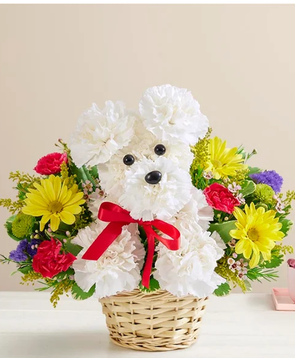 A-DOG-able in a Basket