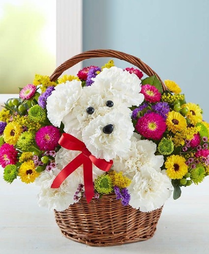 a-DOG-able in a Basket