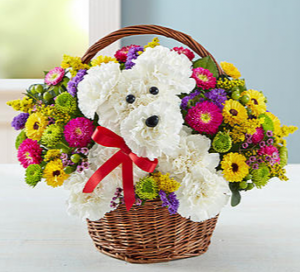 a-DOG-able® in a Basket Arrangement in Croton On Hudson, NY | Cooke's Little Shoppe Of Flowers a-DOG-able® in a Basket Arrangement in Croton On Hudson, NY | Cooke's Little Shoppe Of Flowers