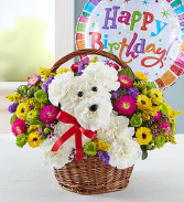 a-DOG-able® in a Basket Birthday Birthday basket