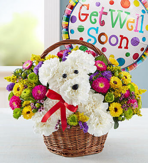 get well soon flowers and teddy bear