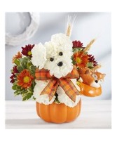 A Dogable for Fall 
