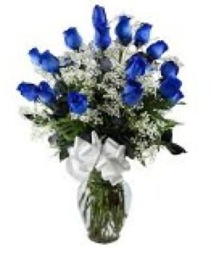A Dozen Blue  Roses
