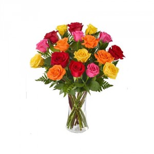 A Dozen Colourful Roses 