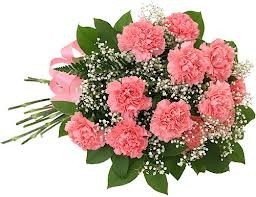 Carnation Bouquet Bouquets