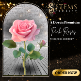 A Dozen Premium Pink Roses 