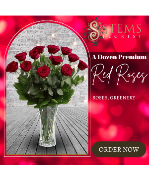 A Dozen Premium Red Roses 