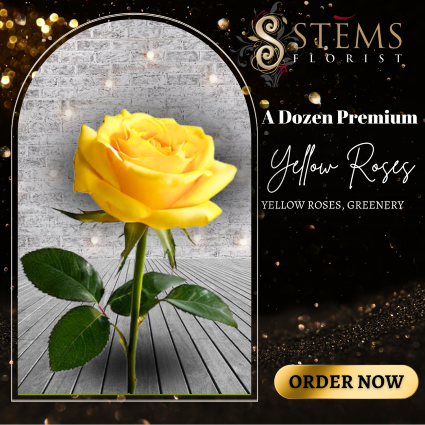 A Dozen Premium Yellow Roses