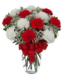 A dozen Red and white carnations arranged 
