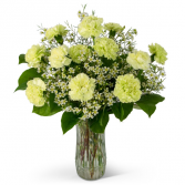 A Dozen Sweet Green Carnations Arrangement