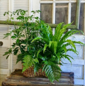 Green Garden European Garden Basket