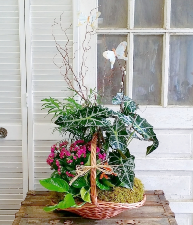 Cotton Candy European Garden Basket