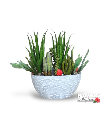 A faux cactus planter Silk