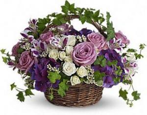 Blissful Basket Spring Arrangement in Lauderhill, FL | A ROYAL BLOOM FLOWERS & GIFTS Blissful Basket Spring Arrangement in Lauderhill, FL | A ROYAL BLOOM FLOWERS & GIFTS