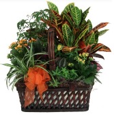 A Garden for Father Planter