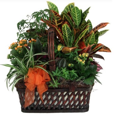 A Garden for Father Planter in Brentwood Bay, BC | PETALS N BUDS BRENTWOOD BAY FLORIST A Garden for Father Planter in Brentwood Bay, BC | PETALS N BUDS BRENTWOOD BAY FLORIST