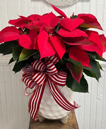 A Gift for You Christmas in Bay Saint Louis, MS | The French Potager A Gift for You Christmas in Bay Saint Louis, MS | The French Potager