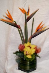 Birds of Paradise and Other Exotica In Wrapped Cube Vase