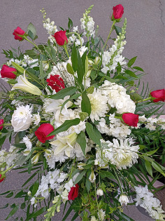 Category Image