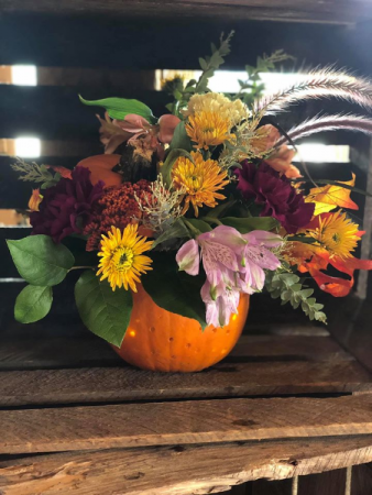 A Light up Pumpkin Patch