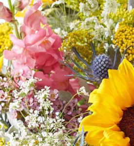 A Little Bit Country, Florist Choice Best Garden and Field Flowers of the Day in Gainesville, FL | PRANGE'S FLORIST