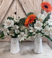 A Little Boo to you! Halloween Special *Limited containers*
