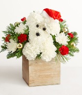 A little Christmas pup  