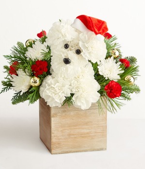 A little Christmas pup  