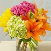 Bright Delight  in Forney, Texas | Kim's Creations Flowers, Gifts and More