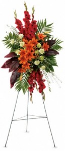 A New Sunrise Sympathy Spray