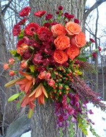 A piece of the Garden