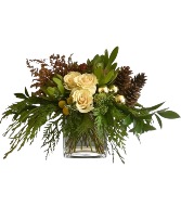 A Quiet Walk in the Woods  