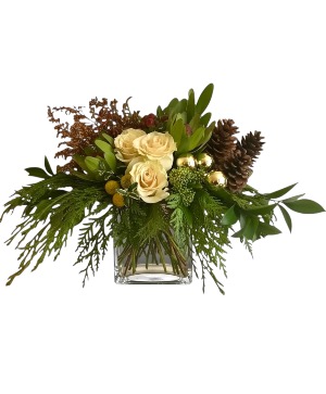 A Quiet Walk in the Woods  