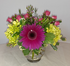 A Star is Born - VAL102 Every Day in East Templeton, MA | Valley Florist & Greenhouse A Star is Born - VAL102 Every Day in East Templeton, MA | Valley Florist & Greenhouse