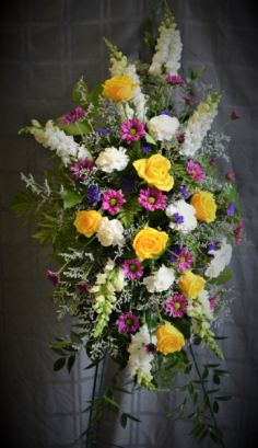 Category Image