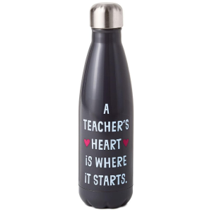 A Teacher's Heart Stainless Steel Water Bottle, 17 Hallmark