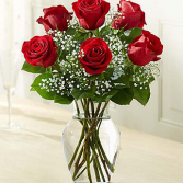 A Time For Love 6 Roses & Babies Breath In A Vase