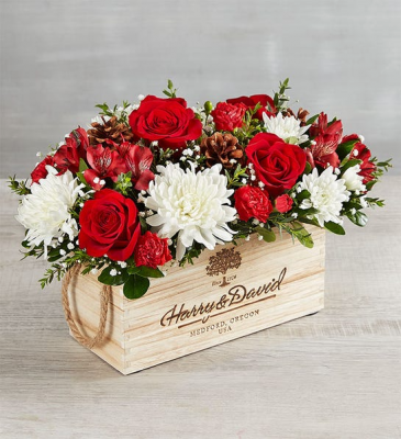 Let's Celebrate All of Us! With a Hint of "Better Year Ahead!!!" in Gainesville, FL | PRANGE'S FLORIST Let's Celebrate All of Us! With a Hint of "Better Year Ahead!!!" in Gainesville, FL | PRANGE'S FLORIST